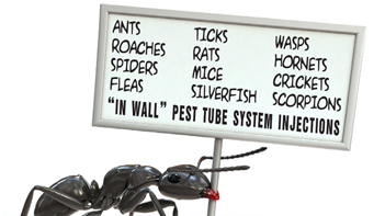 Ants service in Tampa by Triple C Pest Control Ants service in Tampa